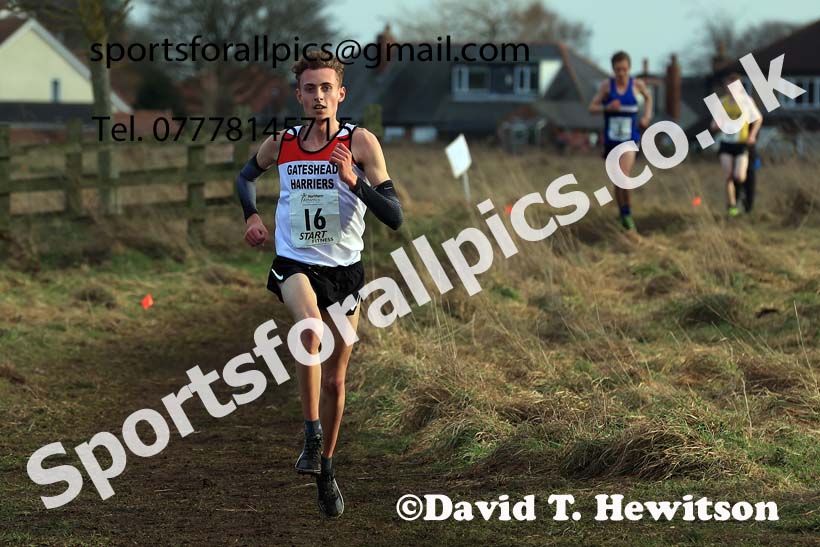 Junior Mens 2024 Northern Cross Country Champs., Sedgefield. Photo: David T. Hewitson/Sports for All Pics